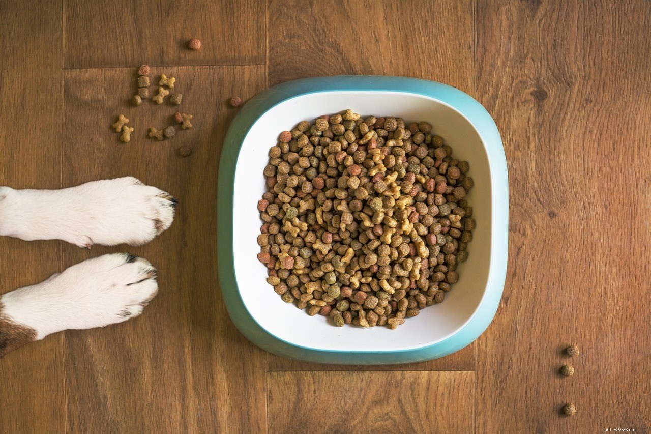 BHA et BHT :ingrédients alimentaires pour chiens à éviter