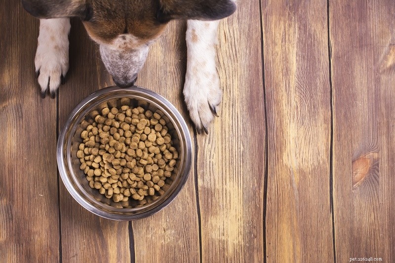 BHA e BHT:ingredienti alimentari per cani da evitare