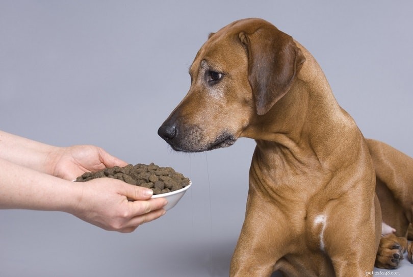 Você pode julgar a comida de cachorro apenas pelo seu primeiro ingrediente?