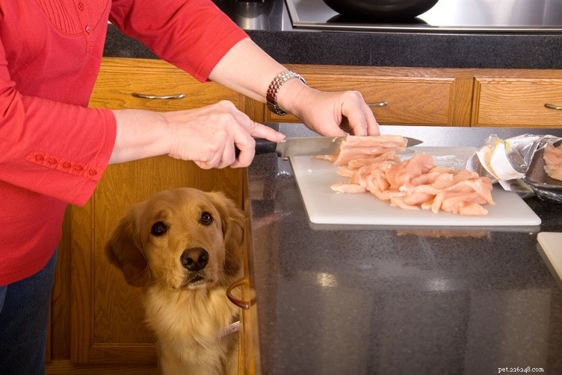 Puoi giudicare il cibo per cani esclusivamente dal suo primo ingrediente?