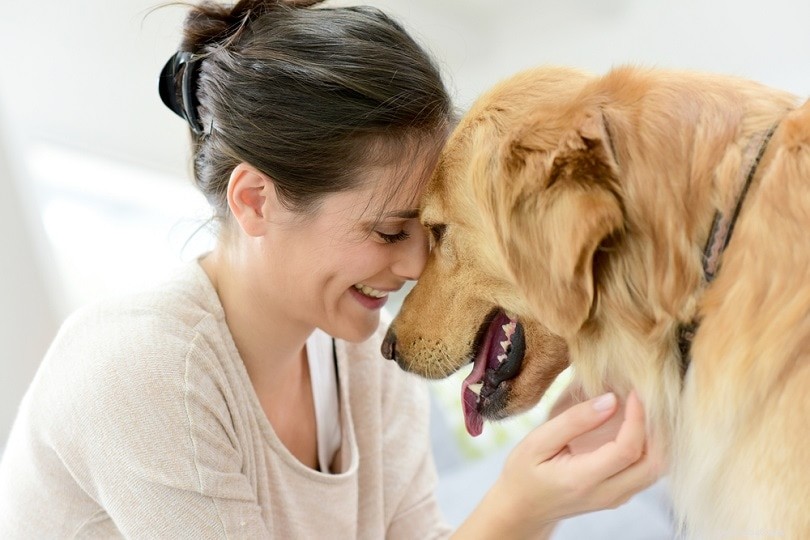 20 vänligaste hundraser (med bilder)