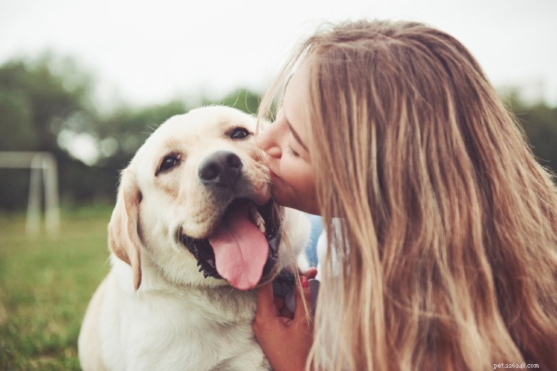 感情的なサポートのための10の最高の犬種 