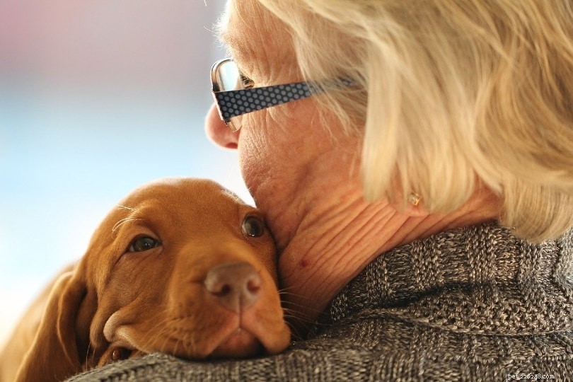 10 meilleures races de chiens pour le soutien émotionnel