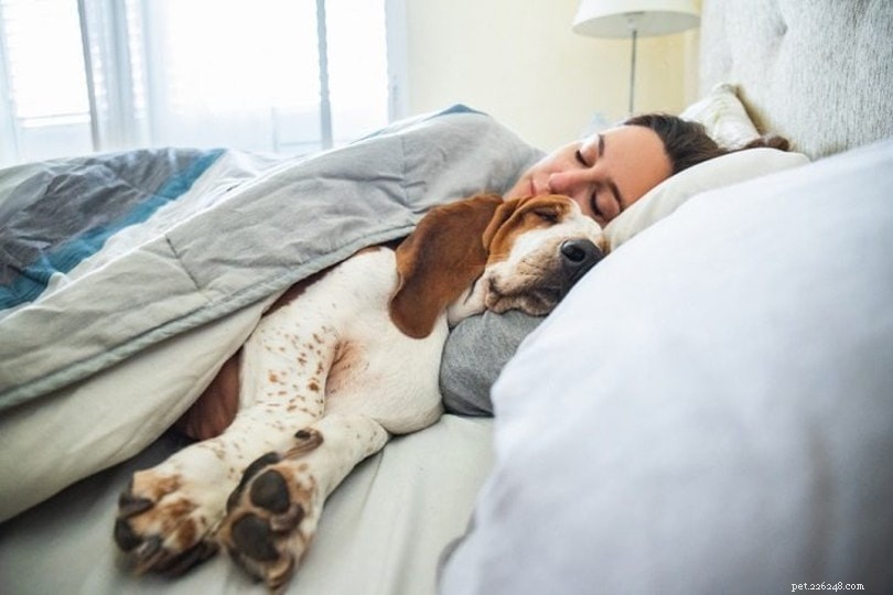 8 vědeckých výhod spaní se psem