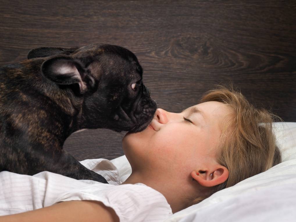 5 způsobů, jak zabránit tomu, aby vás pes brzy vzbudil