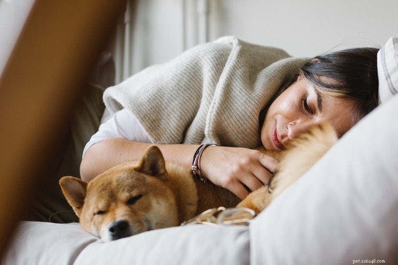 Proč psi spí se zadečkem čelem k vám? (5 důvodů pro toto chování)