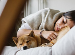 Por que os cães dormem com a bunda virada para você? (5 razões para este comportamento)