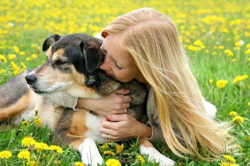 Servicehond vs. therapiehond vs. emotionele hulphond:wat zijn de verschillen?