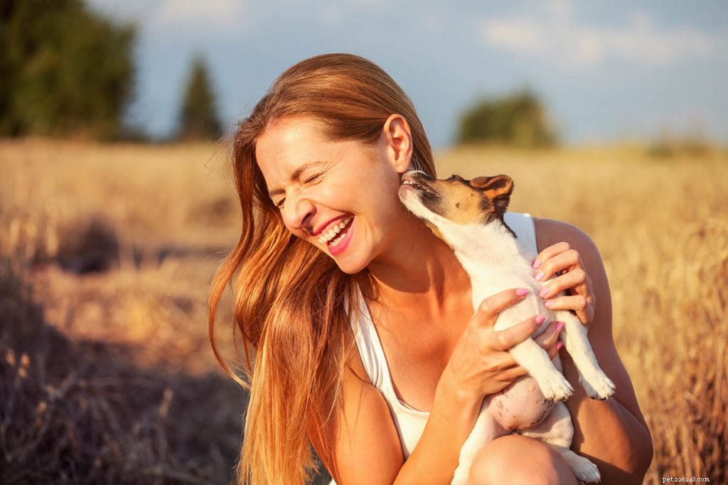 Por que os cães gostam de cheirar virilhas? 5 razões para este comportamento