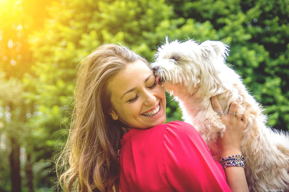 6 motivi per cui i cani si leccano la faccia e come smettere di leccarsi in modo eccessivo