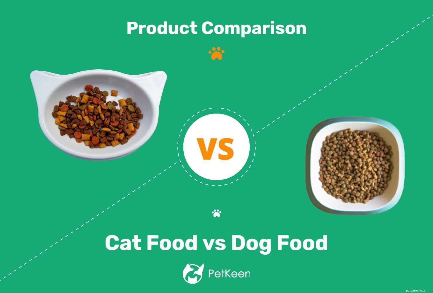Comida de gato x comida de cachorro:quais são as diferenças?