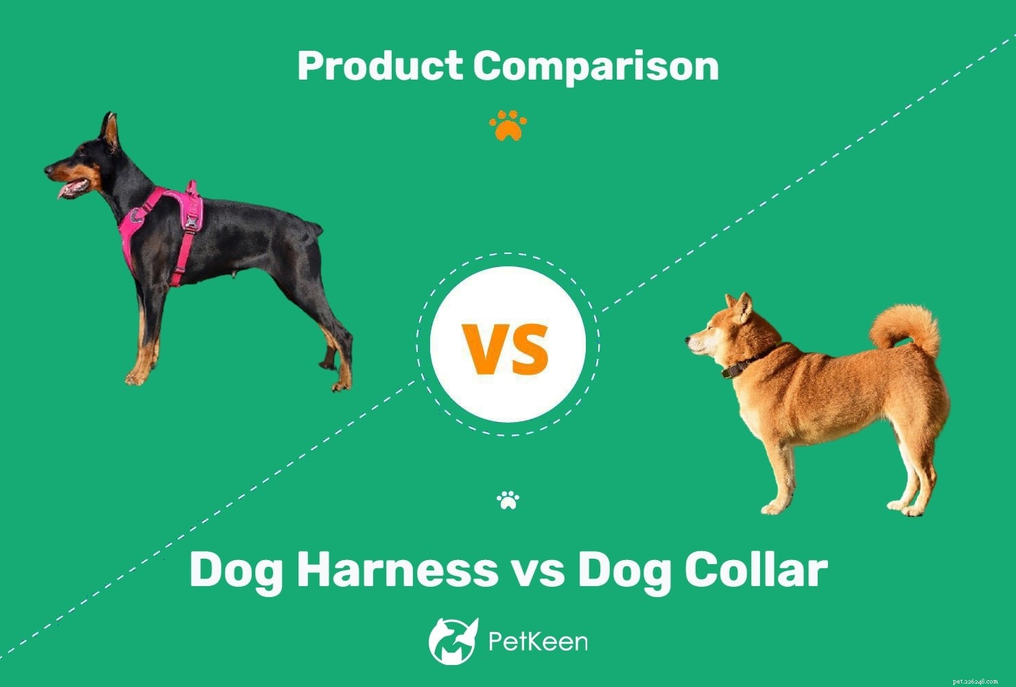 Arnês para cães vs coleira:qual é melhor para o seu cão? (Prós e contras)