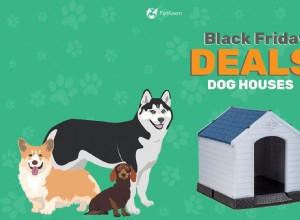 Ofertas e vendas da Black Friday Dog House 2022