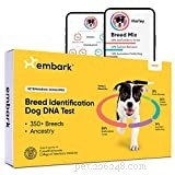 2022년 블랙 프라이데이/사이버 먼데이 Dog DNA 거래 및 판매