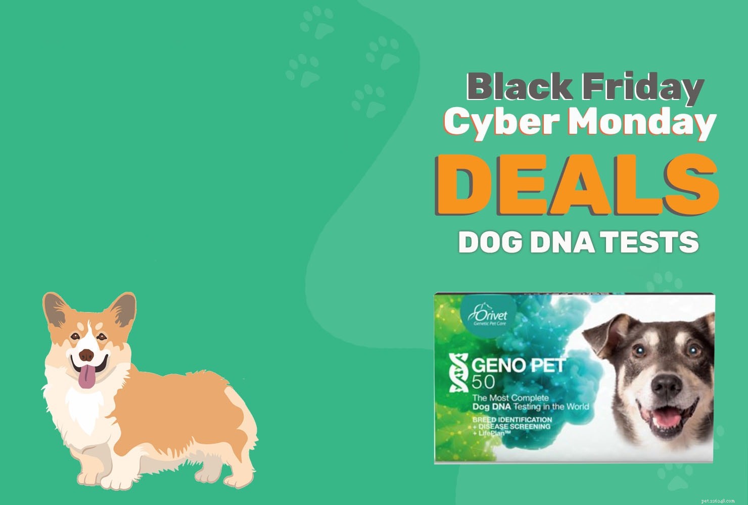 Černý pátek/kybernetické pondělí psí DNA nabídky a prodej 2022