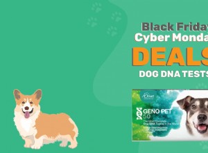 Black Friday/Cyber ​​Monday Dog DNA Deals &Sales 2022