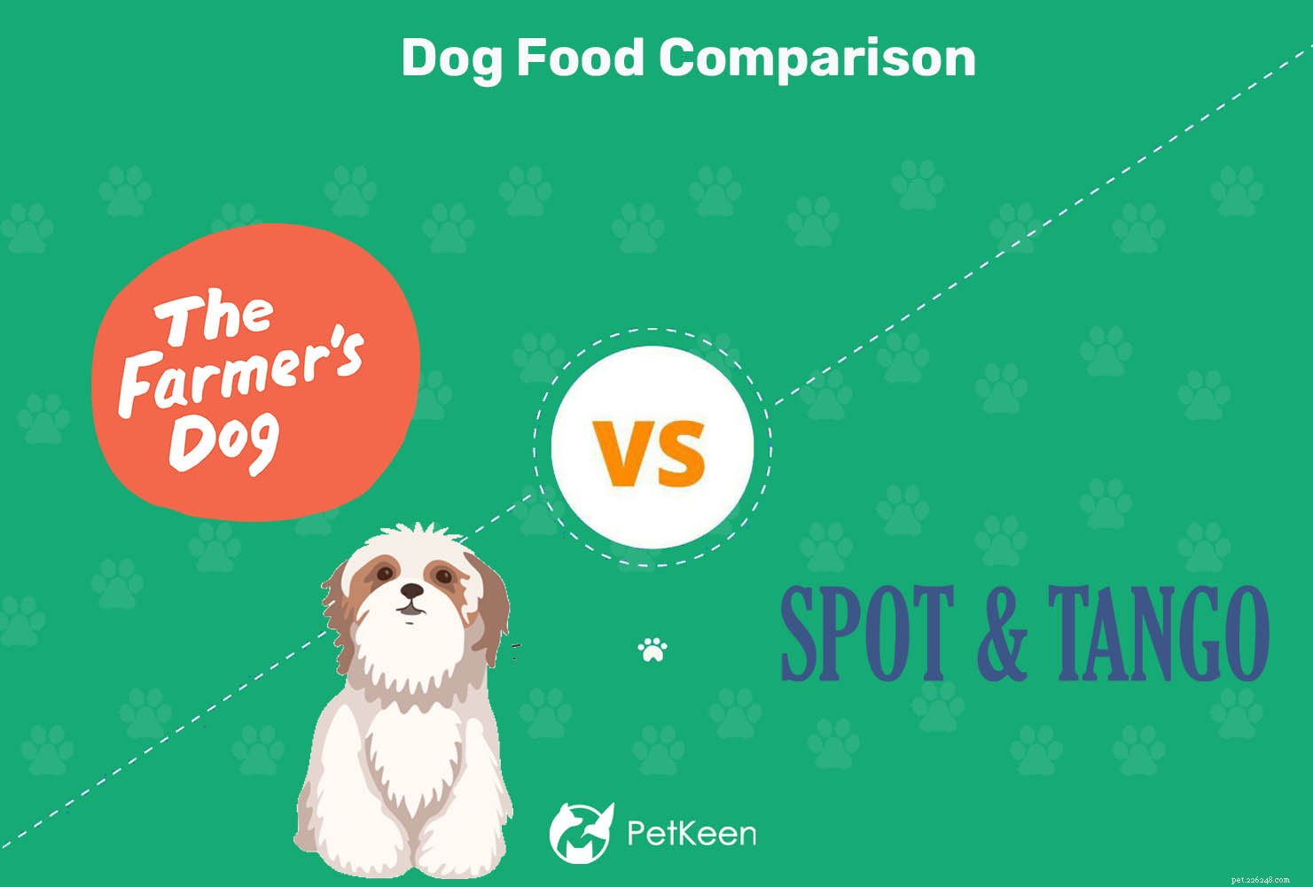 The Farmer s Dog vs Spot and Tango:Vilken färsk hundmat är bättre? (2022)