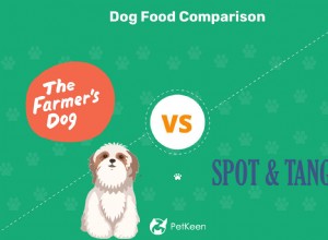 O cão do fazendeiro vs mancha e tango:qual comida fresca para cachorro é melhor? (2022)