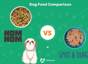 Nom Nom vs Spot e Tango:Qual comida de cachorro fresca é melhor? (2022)