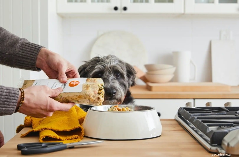 Ollie vs Farmer s Dog :quelle nourriture fraîche pour chien est la meilleure ? (2022)
