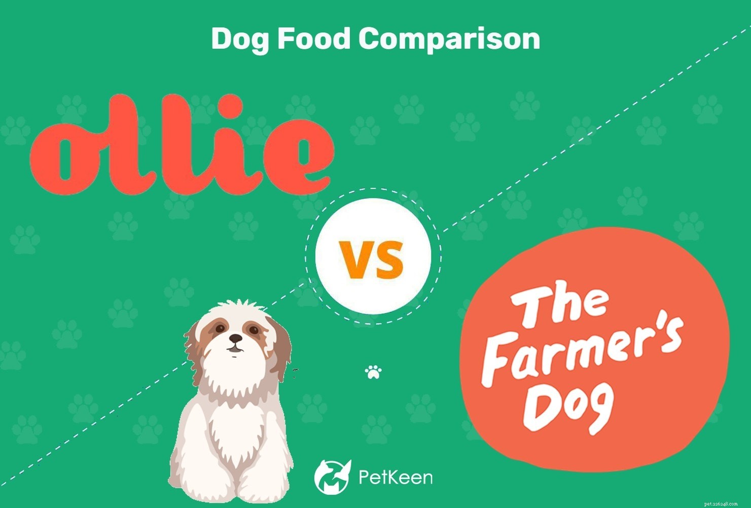 Ollie vs Farmer s Dog:어떤 신선한 개 사료가 더 낫습니까? (2022)