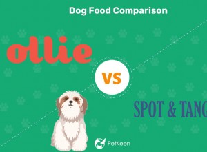 Ollie vs Spot e Tango:Qual comida de cachorro fresca é melhor? (2022)