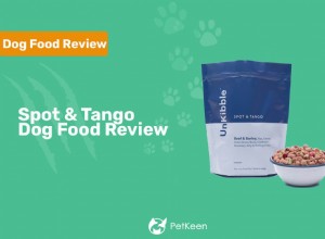 Spot and Tango Fresh Dog Food Review 2022:찬반 양론 및 최종 판결