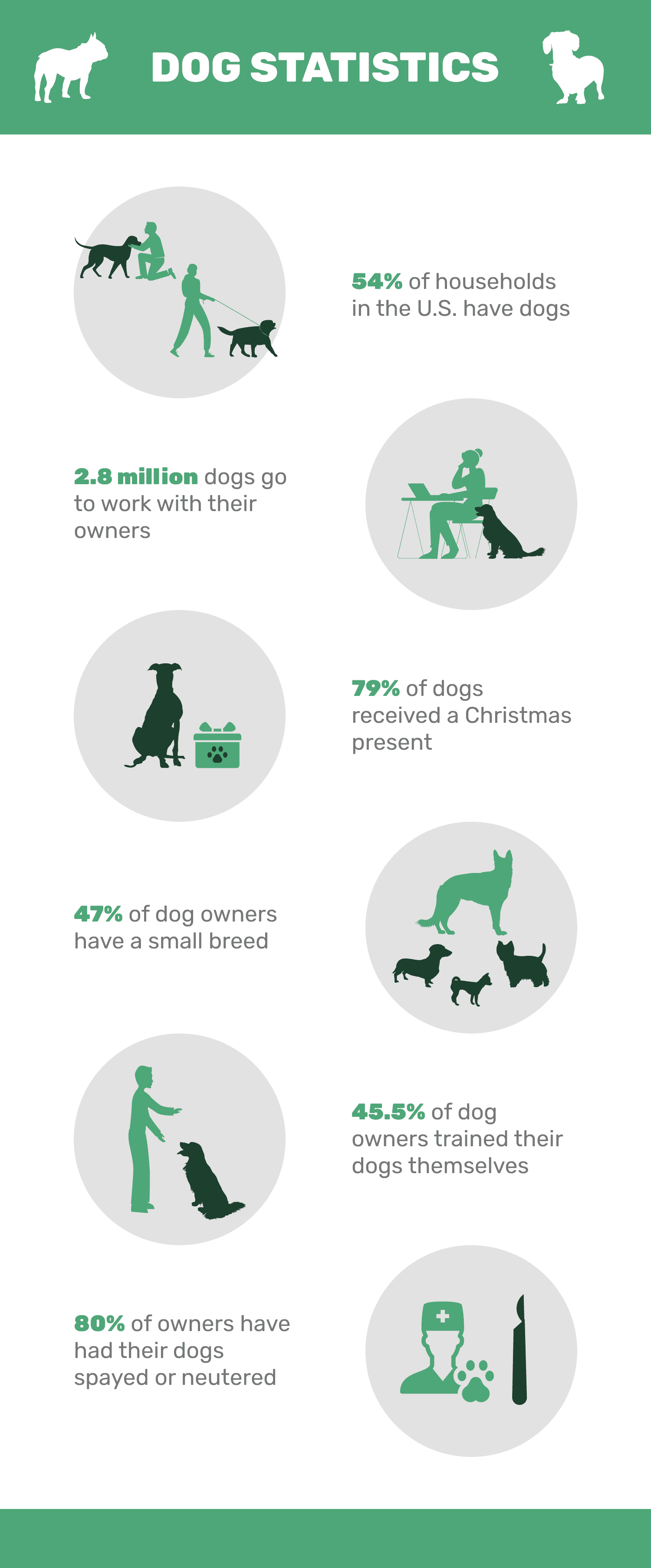 20 statistiche sui cani che tutti gli amanti degli animali dovrebbero conoscere nel 2022