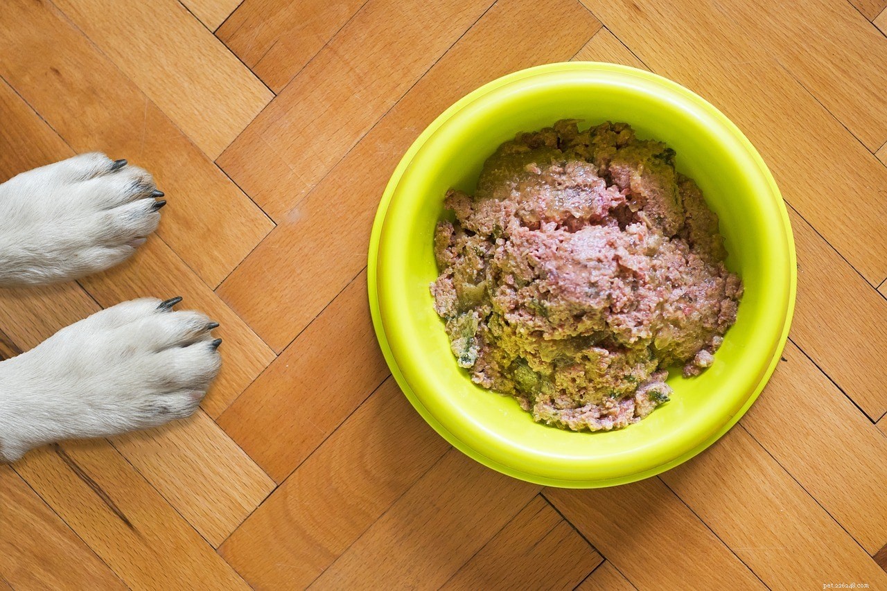 Hoe u het juiste hondenvoer kiest:voeding, labels en meer!