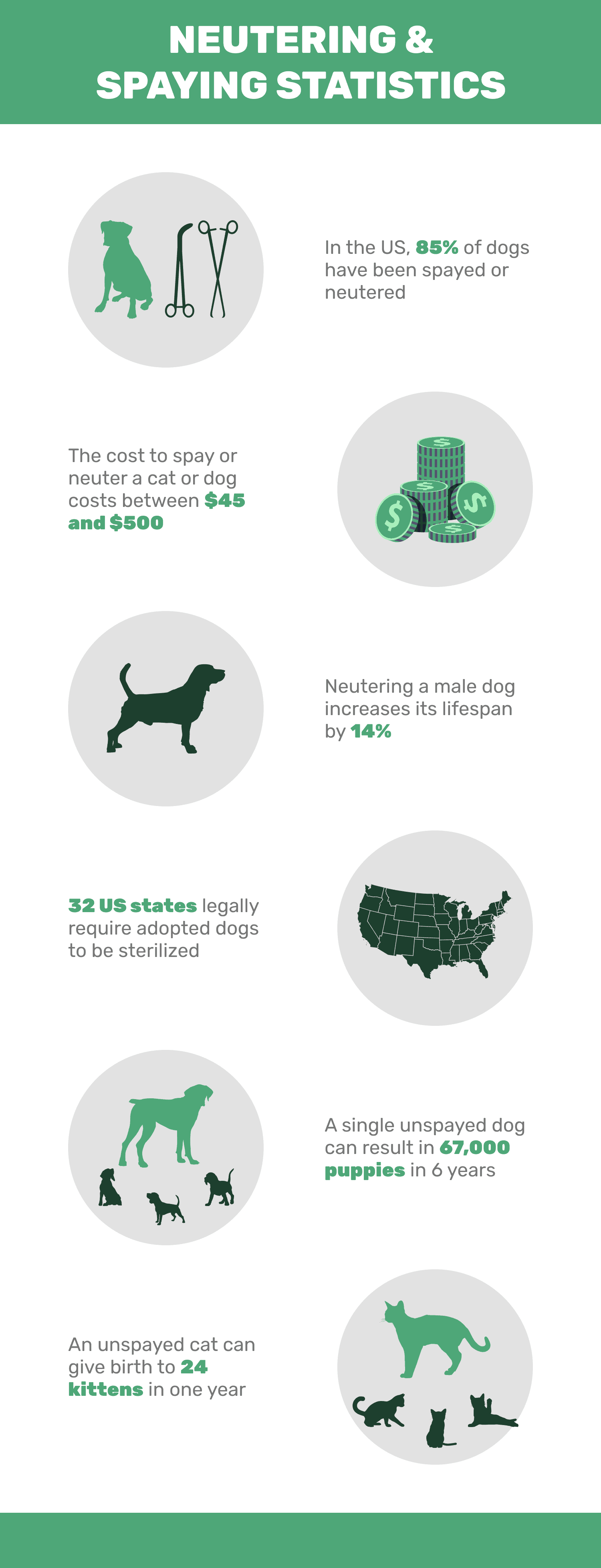 미국에서 얼마나 많은 개와 고양이가 중성화 수술을 받았습니까? (2022년에 알아야 할 통계)