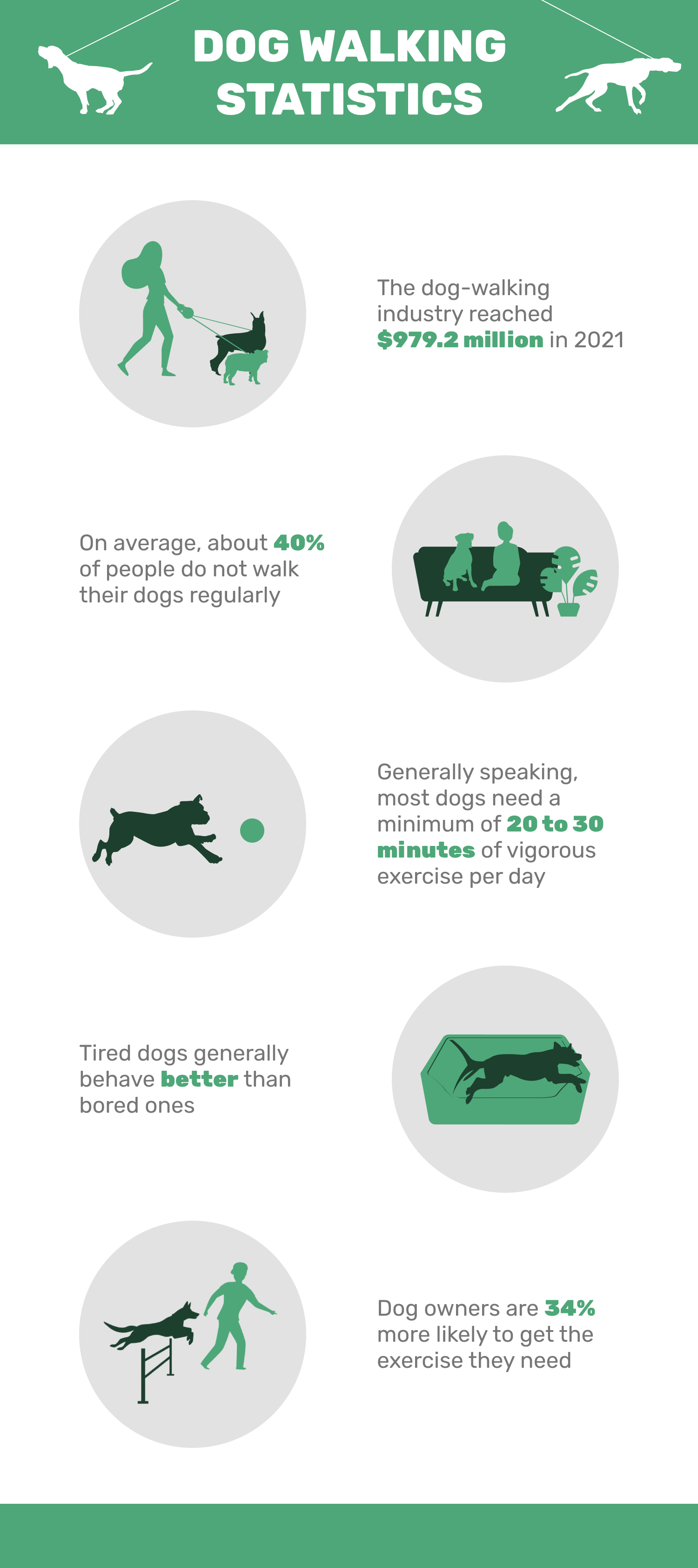 10 статистических данных и фактов о выгуле собак за 2022 год:сколько времени люди выгуливают своих собак?