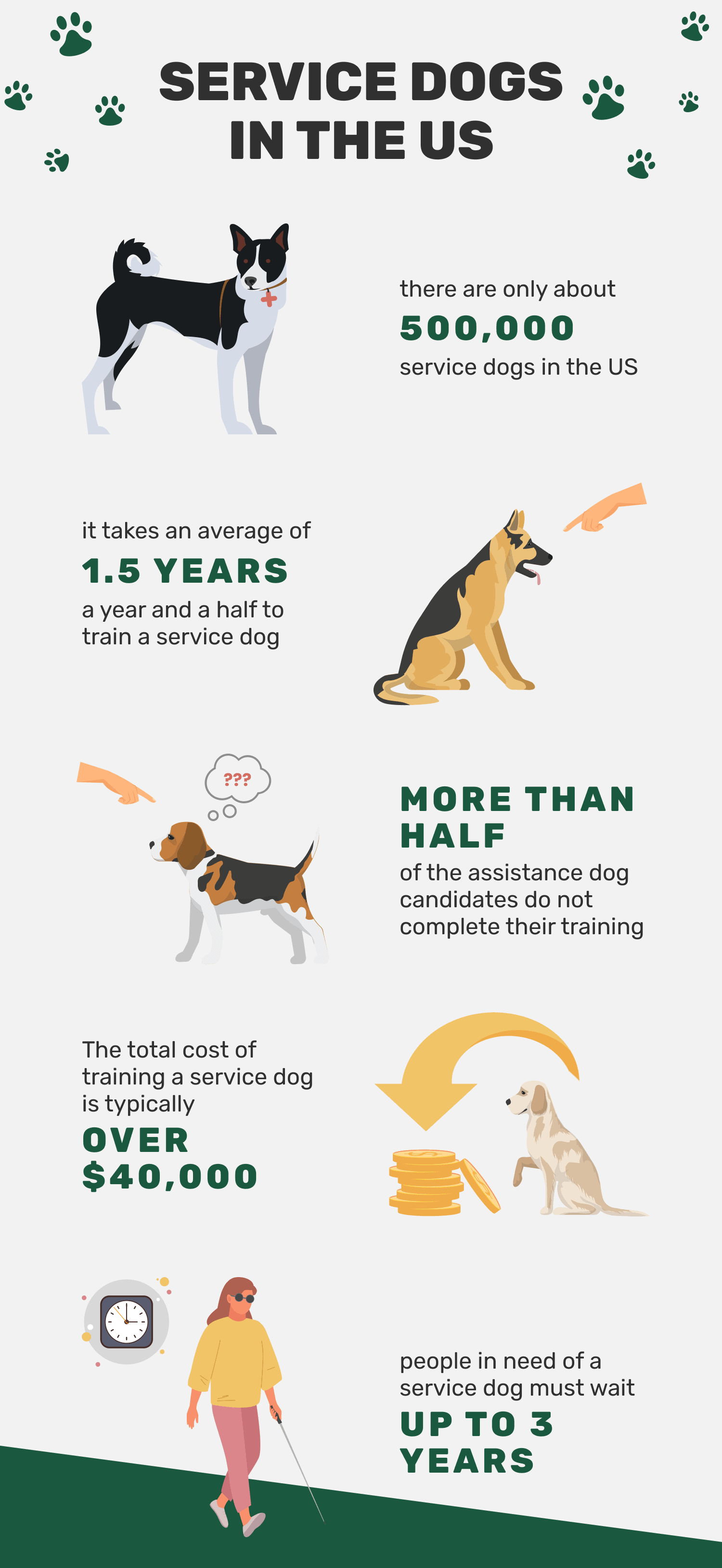 10 Notevoli cani da assistenza (statistiche da conoscere nel 2022)