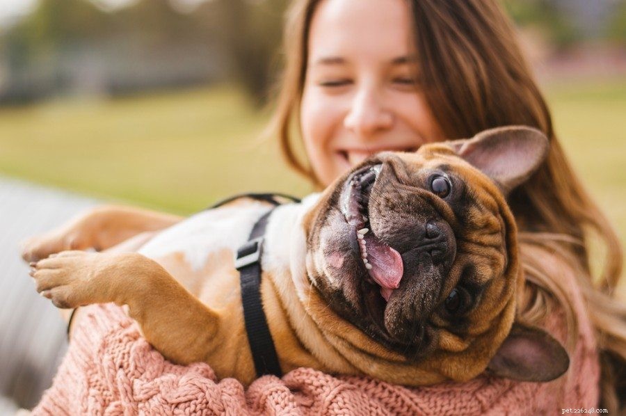 Är en hunds mun renare än en människas mun?
