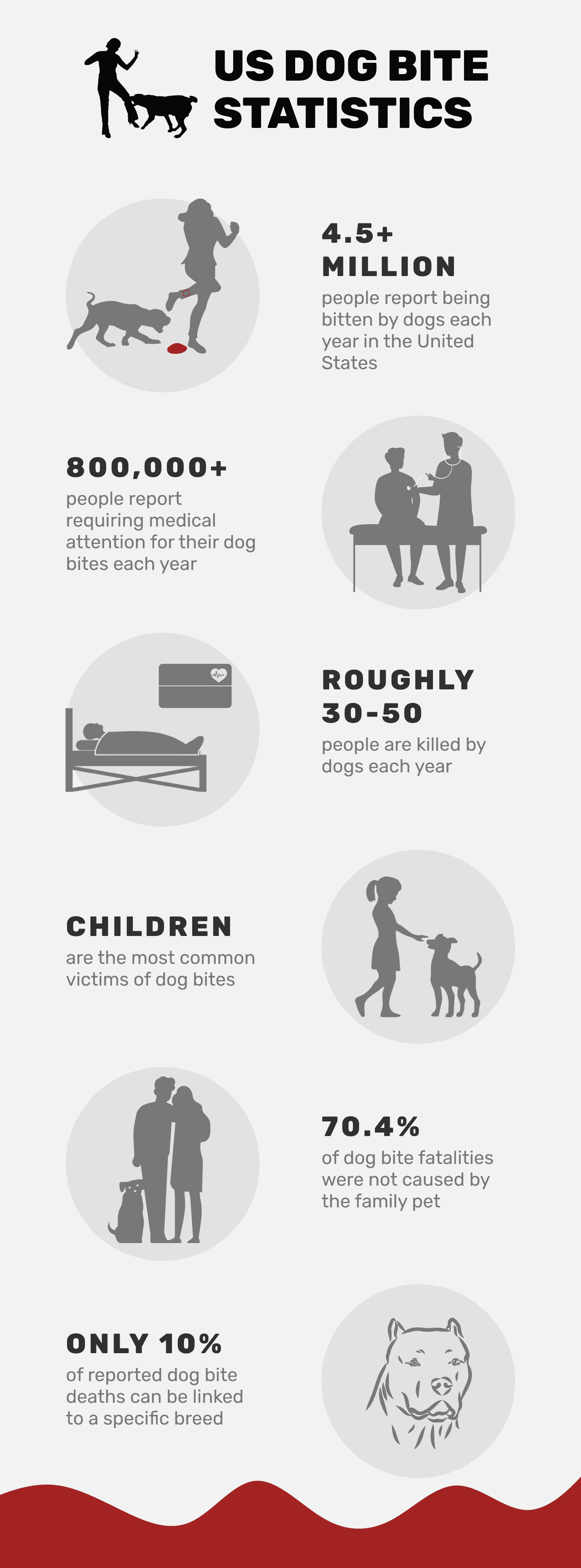Статистика 20 укусов собак в 2022 году – укусы по породам, инциденты, смерти и многое другое