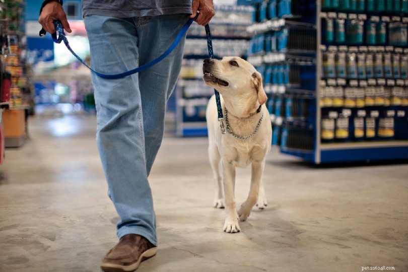 Zijn honden en andere huisdieren toegestaan ​​in PetSmart? (Beleid voor huisdieren in de winkel)