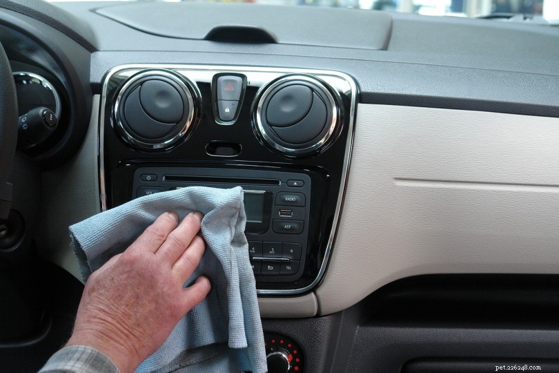 차에서 개 오줌 냄새를 제거하기 위한 단계별 가이드