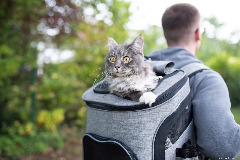 Výběr správného nosiče pro kočky:velikost, materiál a další aspekty