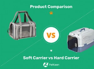 Transportador para gatos macios versus rígidos:qual é o melhor para suas necessidades?