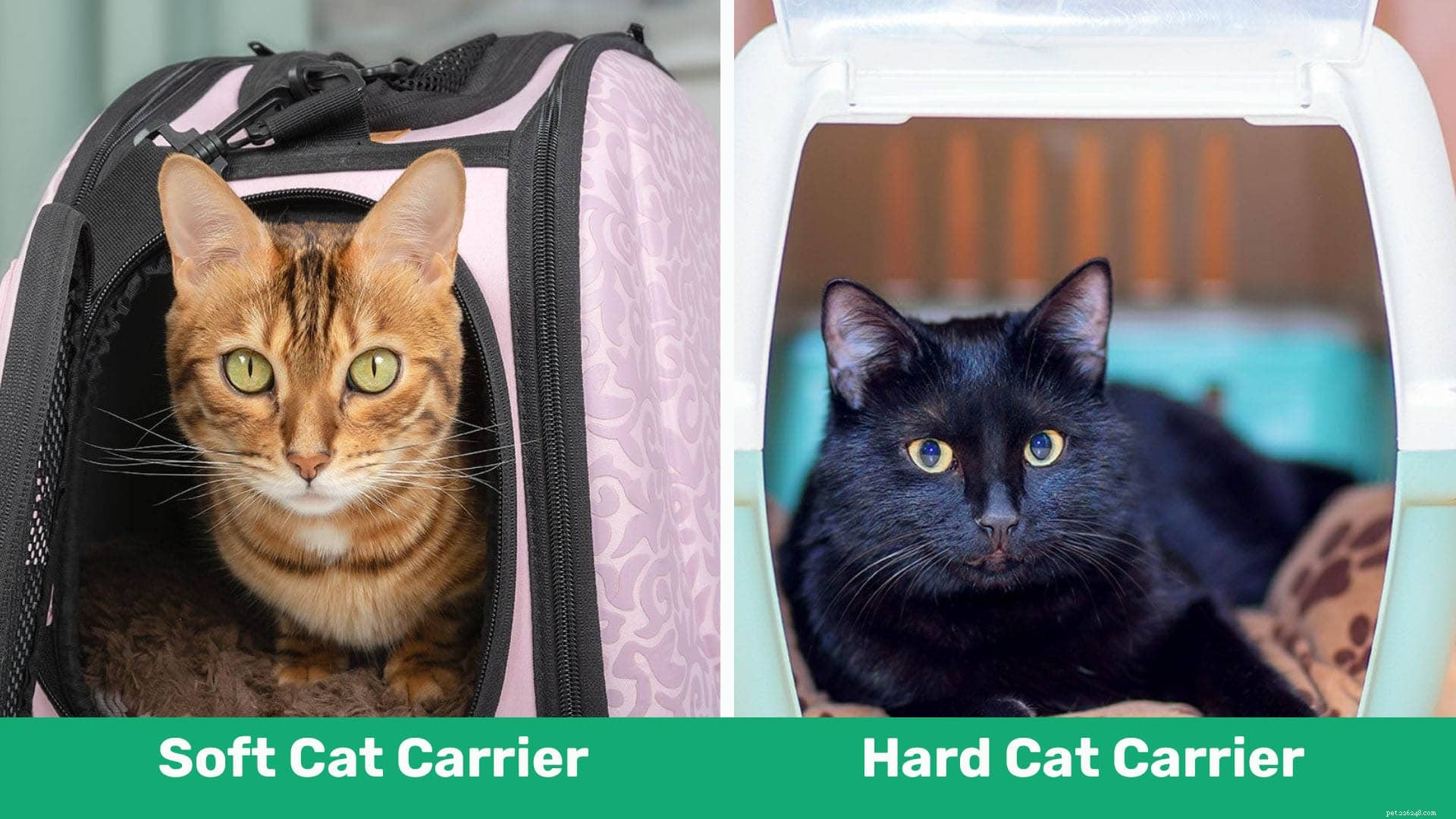 Porte-chat souple ou rigide :lequel correspond le mieux à vos besoins ?
