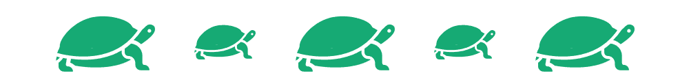 Hur kommunicerar sköldpaddor med varandra?