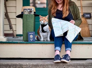 고양이와 함께 여행하는 방법(모든 고양이 소유자가 알아야 할 10가지 사항)