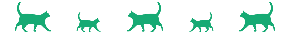 Hur får du mattor ur en katts päls (5 tips)
