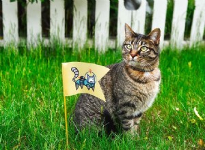 猫があなたの庭でうんちをするのを防ぐ方法（8つの証明された方法） 