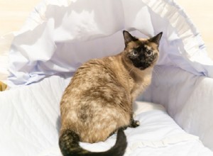 Как не пускать кошек в детскую кроватку