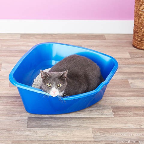 10 типов кошачьих туалетов и их отличия