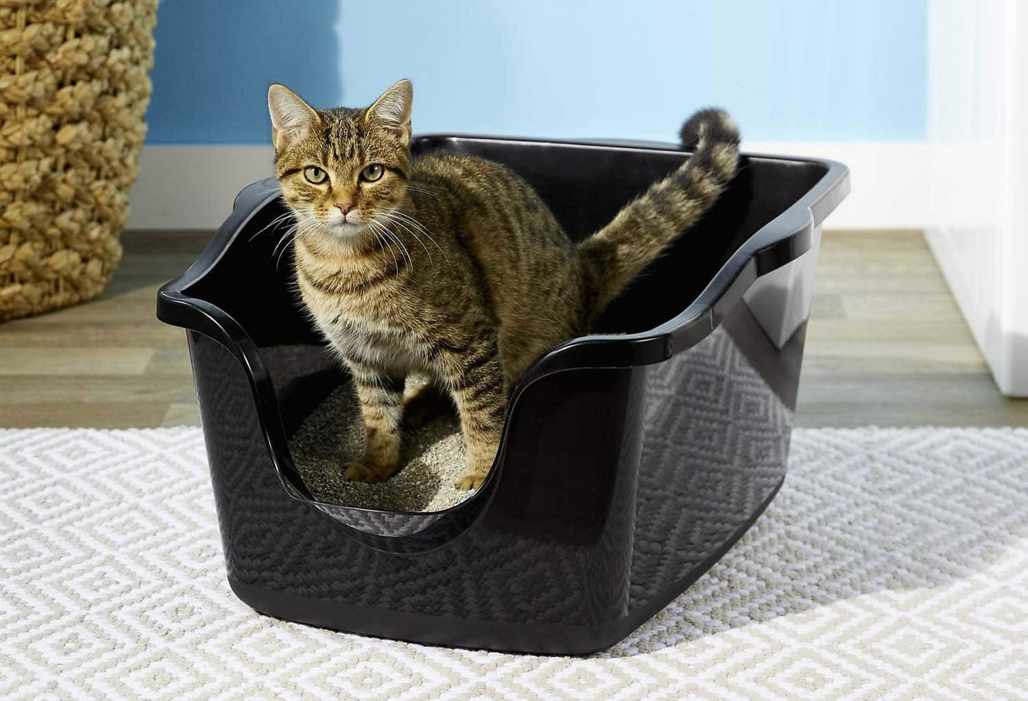 Коробки для туалета с крышкой и без крышки:заботится ли моя кошка?