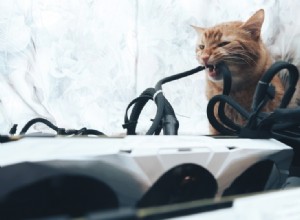 Hoe u kunt voorkomen dat uw kat op elektrische snoeren kauwt (7 bewezen methoden)