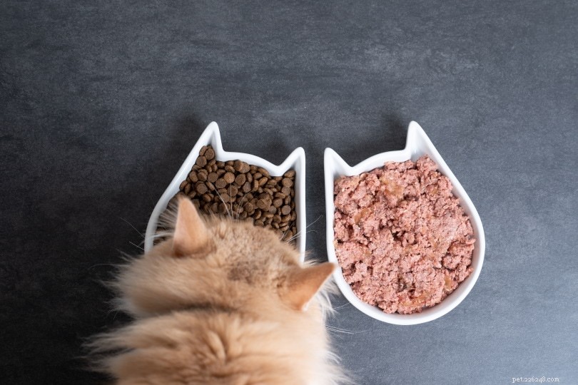 Acheter de la nourriture pour chat en gros :prix, offres, avantages et inconvénients en gros