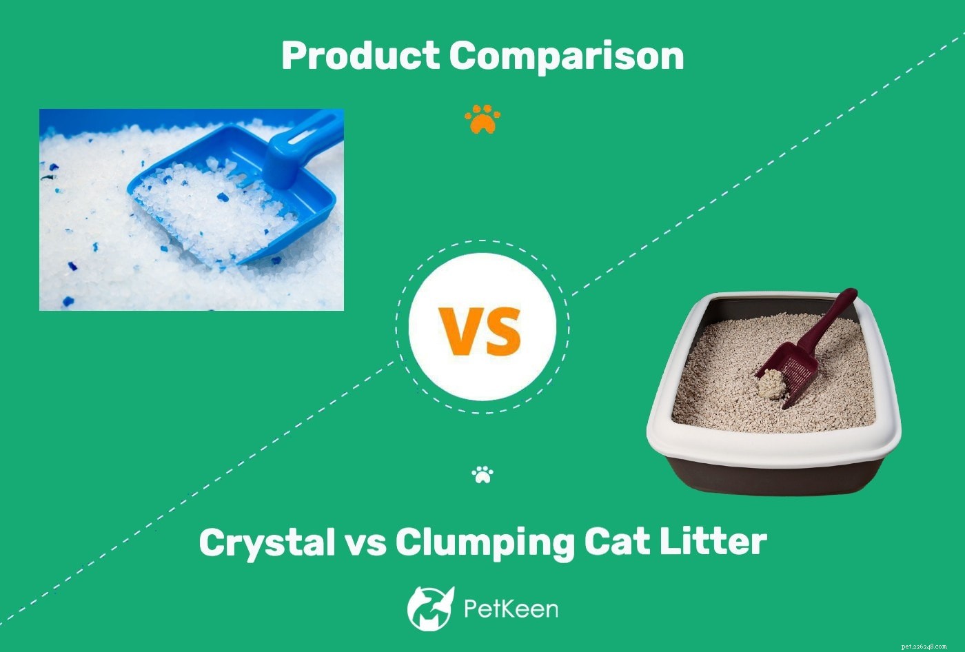 Lettiera di cristallo vs lettiera agglomerante:cosa è meglio per il mio gatto?