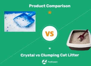 Crystal Litter vs Clumping Cat Litter：What’s Best For My Cat？
